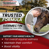 Horse Ivermectin Paste 1.87% – Apple Flavored Oral Horse Dewormer Syringe – 6.08g Tube Treats Horses Up to 1250 LB [Pack-24]