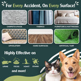 Sprinkle & Sweep: Pet Stain & Odor Enzyme Spray - 24oz - No Scrubbing Concentrated Formula, Dog & Cat Urine & Mess Destroyer, Carpet Spot Cleaning