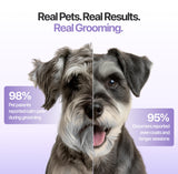 JOYZZE Falcon Cordless Clipper 2 Speed - Professional Grooming with Precision, Power, Low Noise, Dog Clippers for Grooming (Falcon Purple)