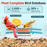 birdsnap® TUC Bird Feeder with Camera 2K HD, Solar Panel 32GB Card 4-in-1 Perch, 160°View Auto Detect & Notify AI Identify Video Bird Camera Wireless Outdoors Ideal Gift for Birds Lover