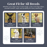 Lucky Love Dog Wide Dog Collar - Adjustable, Durable, Soft Webbing, & Comfortable 1.5 inch Wide Collar for Dogs Male and Female with Strong Buckle - Oscar, Medium