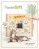 BriskTails Сat Backpack Carrier - Expandable Cat Large Travel Hiking Backpack, Pet Backpack Carrier Airline Approved, Perfect for Cats Kitty Kitten Backpack - Grey