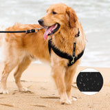 PetBonus Dog Collar Safety Clip, Waterproof Backup Safety Strap