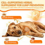 Petnanny Turkey Tail Mushroom Chews for dogs, Natural Herbal Mushroom Supplement with Turkey Tail, Reishi & Matsutake, Immune Support for Lumps & Bumps, Joint Comfort & Digestive Health,Chicken Flavor