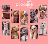 Puppytie XXS Puppy Harness and Leash Set, Pink, XXS (2.2–6 lbs)