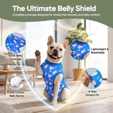 PetWarm Dog Surgery Suit, Dog Surgical Recovery Suit, Unicorn, Blue, XS