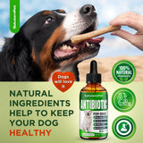 Natural Antibiotics for Dogs and Puppies | Antibiotics for Dogs of All Ages | Herbal Ingredients | Helps with Allergies and UTIs | for Balanced Digestion | Joint Care | Bacon Taste | 2 Oz