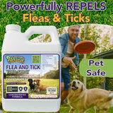 Trifecta Flea and Tick Yard Spray Concentrate | 16 oz