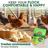 Buff Clucks Dust Bath Herb Blend for Chickens - Keep Feathers Clean & Healthy - Food Grade, Natural Nesting Box Herbs for Bedding, Coop Floor, USA (12 oz)