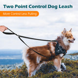 PetBonus Two Point Control Dog Leash, No Tangle Training Walking Leashes