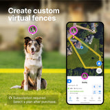 Halo Collar 4 Wireless Dog Fence & GPS Dog Collar, Keep Your Dog Safely Contained Outdoors with App-Controlled Boundaries and Real-Time Tracking, One Size, Graphite