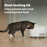 PetSafe FreshFeed Refrigerated Automatic Wet Food Feeder, 6 Meals, White