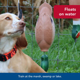 Coastal Pet - Water & Woods Foam Fowl Dog Trainers, Quail, Small