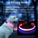 Aiminto USB Rechargeable LED Dog Collar, Waterproof, Adjustable, Glowing, for Extra Small Dogs, Night Walking, Camping, Jogging, Pink, XS (Neck 9-13", Width 5/8")