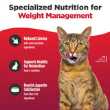 Nulo FreeStyle High Protein Trim Cat Food, Salmon & Lentils Recipe - Natural Grain-Free Dry Cat Food for Weight Management with l-Carnitine, Natural Fiber, & Probiotics, 14 lb Bag