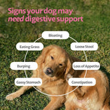 Ayourpets Dog Digestive Chews for Diarrhea, Loose Stool & Sensitive Stomachs – Holistic Herbal Gut Support with Turmeric, Ginger & Fennel – Pork Flavor – 90 Count