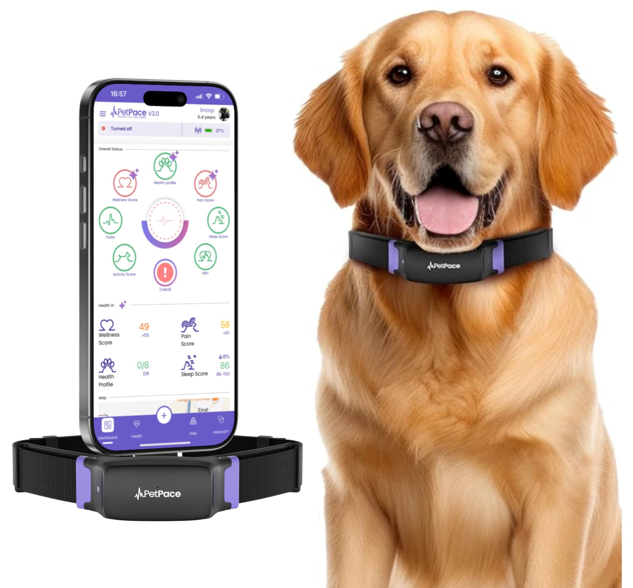 PetPace V3.0 AI Smart Dog Health Monitor Collar