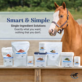 SmartEquine Smart & Simple Vitamin E Pellets | Horse Supplement Pellets | Vitamin E for Horses | Immune Support | Pellet Form for Easy Feeding | 112 Servings | 3.7 LB Bucket