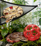 MyFunBBsdar Snake Enrichment Toys,Ball Python Tank Accessories with Snake Climbing Accessories Hammock, Lizards Toy Activity Ball,Reptile Climbing Toys for Crested Gecko Bearded Dragon