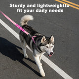 Heavy Duty Dog Leash, 5FT Wide 2.5cm Shock Absorbing Dog Leashes with Zinc Alloy Clip, Comfortable Handle,Training Leash for Medium Large Dogs