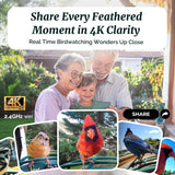 Beako™ Smart Bird Feeder with 4K Camera Solar Powered for Outdoors - UHD Live Stream for Birdwatching, AI Identification 10,000+ Bird Species, Real-Time Motion Detection, Ideal Gift for BirdLovers
