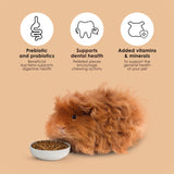 Kaytee Timothy Complete Guinea Pig Food, Made with Timothy Hay, High in Fiber, Supports Dental Health and Digestion, Long-lasting Vitamin C, 9.5 pounds