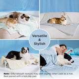 Bedsure Cooling Blanket for Small Dogs with Breathable Air-Core Fill Q-MAX>0.4 - Dog Cooling Mat Soft, Lightweight Pet Cat Throw Cold Blanket Washable for Summer, Beige, 25x35