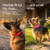 Halo Collar 5 GPS Wireless Dog Fence, Midnight