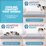 Big Paws Cooling Orthopedic Dog Bed for XL & Senior Dogs + Enclosed Support, High-Density Memory Foam, Waterproof Liners, Washable Cover, Light Gray, XL