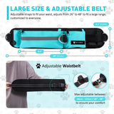 Waist Leash for Double Dog Walking 2 Small, Medium and Large Dogs; Shock-Absorbing, No Pull, No Tangle, Heavy Duty, Hands-Free Double Bungee 2 Dog Leash; Hiking, Walking, Running Gear with Accessories