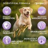 Gargeer Dog Multivitamin 21-in-1 Chews for Dogs. Rich with Fatty Acids & Antioxidants. Supports Healthy Gut, Mobility & Immune System. for Seniors and Puppies – 60 Soft Chews, Made in the USA, Enjoy!