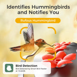 TT Nature Glass Smart Hummingbird Feeder with Camera Solar Powered 2K- AI Identify & Water Detection, Instant Notification, Leakproof & Ant Moat, Compatible with Alexa & Google Assistant