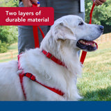 Coastal Pet Double-Ply Dog Leash - Bolt Snap Attachment to Collars and Harnesses - Nylon Dog Walking Leash for Small, Medium and Large Dogs - Red - 1" x 4'