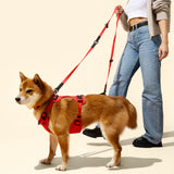 THE LICKER Store WLK1005M-5SET Luna Medium 8FT Adjustable 6-in-1 Waterproof Hands-Free Leash and Collar with LED Flashlight, Bag Dispenser, and Poop Bag Holder, Shirley