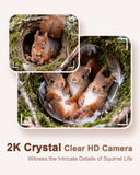 Squirrel Box with Camera Solar Powered, Auto Detect & Notify, Night Vision Pet Watching Cam for Squirrel Nesting Box, 2K HD, 2.4G Wi-Fi, APP Control, Smart Squirrel House for Outside Nesting
