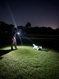 Warm Walks Smart Dog Leash: 3 Heat Settings, Integrated Power Bank with USB-C, Attachable LED Safety Light16 ft Retractable Reflective Lead. All Season Comfort and Power