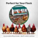 Garvee Large Metal Chicken Nesting Boxes for Hens, 3 Compartment Galvanized Steel Nesting Box, Includes 4 Fake Eggs & 10 Soft Nest Pads Pads, Wall Mount or Freestanding for Coop & Farm
