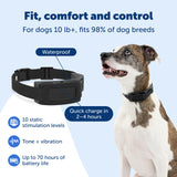 PetSafe Guardian GPS 2.0 Dog Fence + Tracking, 1/2 Acre or More