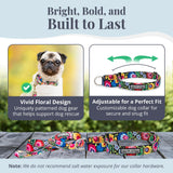 Lucky Love Blackbird Dog Martingale Collar & Leash Set - Premium Martingale Collar & Beautiful Vivid Patterns Leash (Large)