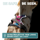 Embark No Pull Dog Harness, Reflective Adjustable Training Vest, No Choke