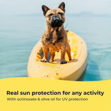 Gentle Creatures Dog Sunscreen - SPF 30+ With Skin Moisturizing Vitamin E and Olive Oil - No Zinc Oxide Safe for All Dogs and Cats - Dog Beach Accessories, Dog Camping Gear, Sunscreen for White Dogs