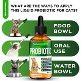 Probiotics for Cats for Digestive Support – Cat Probiotics for Indoor Cats Help with Colic, Upset Stomachs, Diarrhea, Gas, and Bloating – Prebiotics + Pleasant Chicken Flavor Inside – 2 Oz