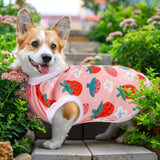 Paterr 25 Pcs Dog Shirts Printed Puppy Clothes Breathable Cartoon T Shirt for Dog Soft Puppy Clothing Lovely Pet Shirts Outfits for Pet Dogs Cats Summer Party Holiday, 25 Styles (Size: M)