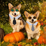 Weewooday 8 Pcs Pet Dog Cat Costume Cat Tie Collar Glasses for Small Dog Round Metal Retro Sunglasses Tie Pet Costume Tuxedo Necktie Collar Puppy Accessories Halloween Cosplay Party(Classic Colors)