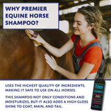 (3 Pack) EQyss Premier Equine Horse Shampoo - Conditions and Moisturizes Coat. Enhances Color and Shine. 32 oz.