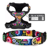 Lucky Love Dog Bundle - XS No Pull Dog Harness & Small Adjustable Collar, in Stylish Blackbird Pattern, Durable & Comfortable for Pet Dogs, Suitable for Puppies & Adult Dogs