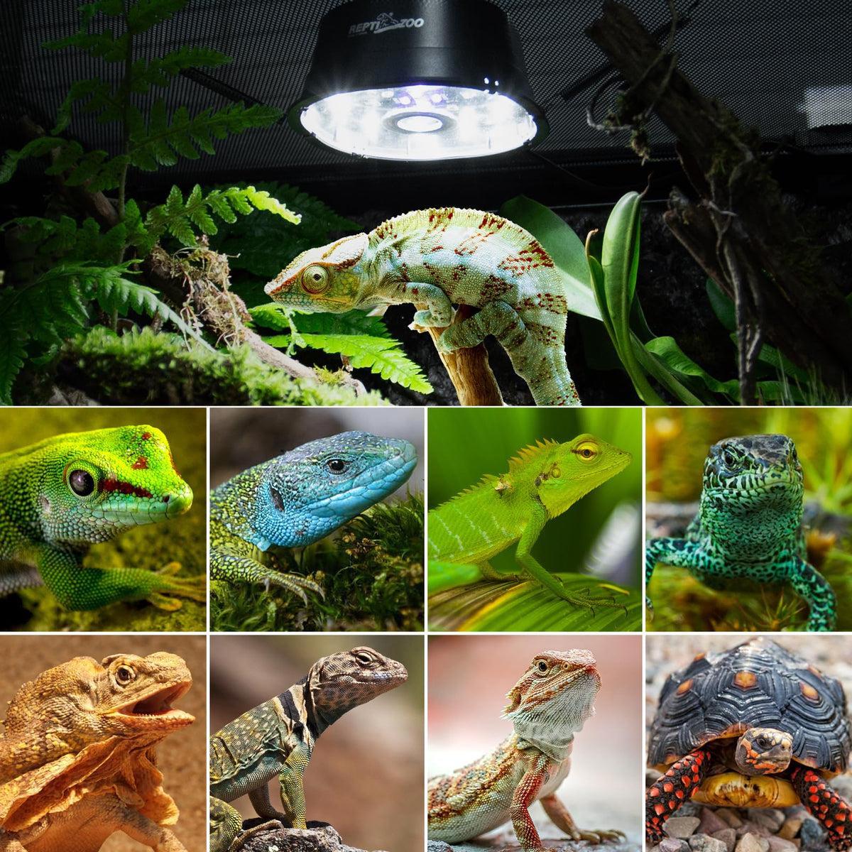 REPTI ZOO UVB Reptile Light with Dimming, LED UVB Light Bulb Fixture f ...