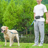 BJDQHKJ Hands-Free Dog Leash for Dogs up to 130 lbs – Heavy-Duty, Shock-Absorbing Bungee Leash with Zipper Pouch, Dual Padded Handles & Adjustable Waist Belt for Running & Walking – Sky Blue