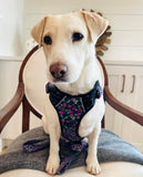 Lucky Love Dog Bundle - Medium No Pull Dog Harness & Adjustable Collar, in Stylish Primrose Pattern, Durable & Comfortable for Pet Dogs, Suitable for Puppies & Adult Dogs