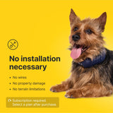 Halo Collar 4 Wireless Dog Fence & GPS Dog Collar, Keep Your Dog Safely Contained Outdoors with App-Controlled Boundaries and Real-Time Tracking, One Size, Graphite